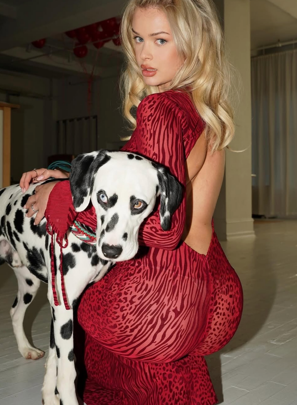 Animal Print Semi-Sheer Mesh Maxi Dress with Sculpted Design for Casual Wear